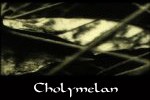 Diary of Dreams - Cholymelan