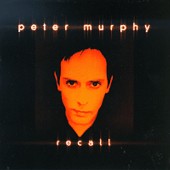 Peter Murphy - Recall